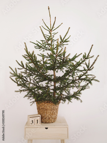 Christmas fir tree with wooden calendar. New Year Eve. Festive interior. New Year and Christmas Holiday background