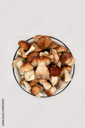 Beautiful fresh porcini mushrooms in metal basin on white background isolated season healthy food 