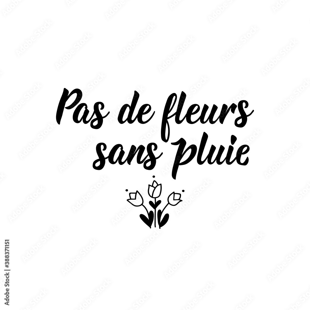 No flowers without rain - in French language. Lettering. Ink illustration. Modern brush calligraphy.