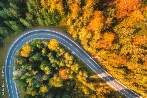 Aerial view of mountain road in beautiful forest at sunset in autumn. Top view from drone of winding road in woods. Colorful landscape with curved roadway, pine trees, orange leaves in fall. Travel © den-belitsky