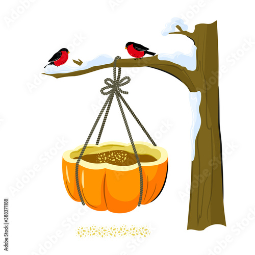A bird feeder from a pumpkin. Winter crafts with your own hands with children. Vector isolated on a white background.