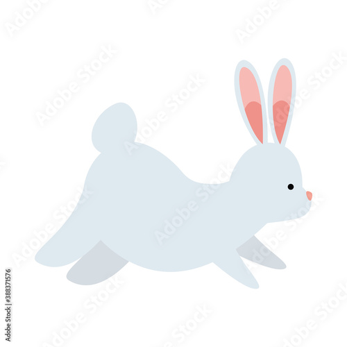 cute rabbit animal farm icon