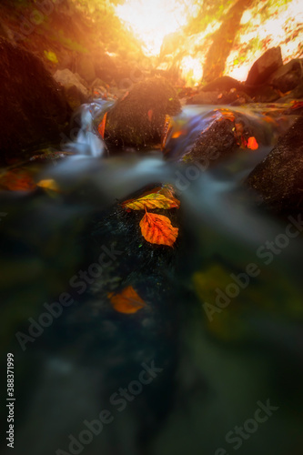 It's autumn time. Beautiful waterfall streams and colorful leaves. © Hakan Eliaçık