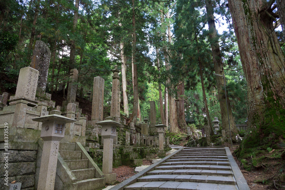 奥の院の参道