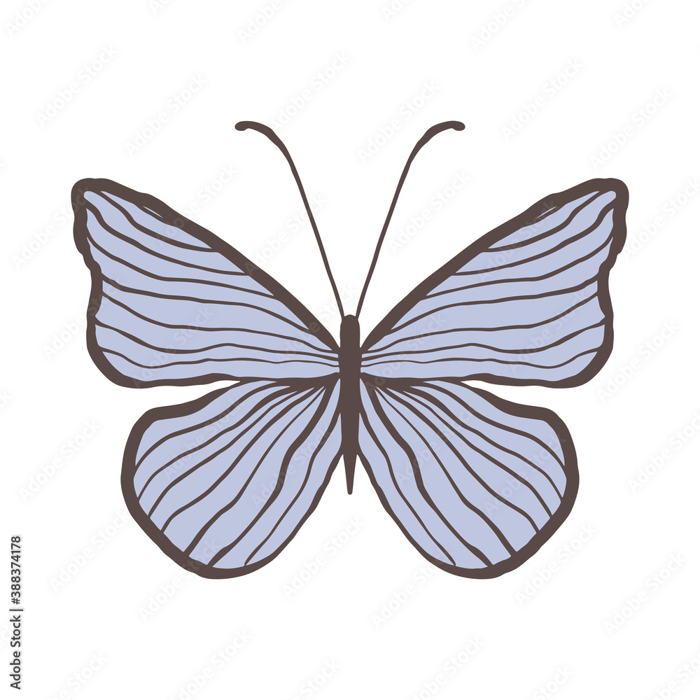 Decorative vintage blue butterfly with thin stripes.Graceful insect on a white background isolated.Vector illustration of an insect with thin antennae.Cute insect on with wings for a graceful and free