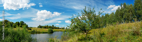 Sunny summer landscape with wild apple tree growing on the bank of lake.  © valeriy boyarskiy