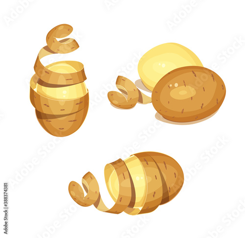 Potatoes with peel. Set of Vegetable foodstuff. Agriculture organic product. Cooking Natural meal. Isolated on white background. Illustration.
