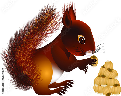 Squirrel with nuts.