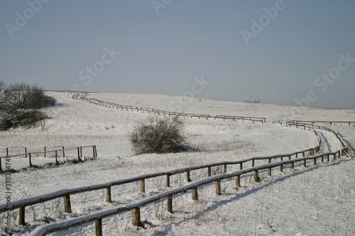 landscape with fence in winter