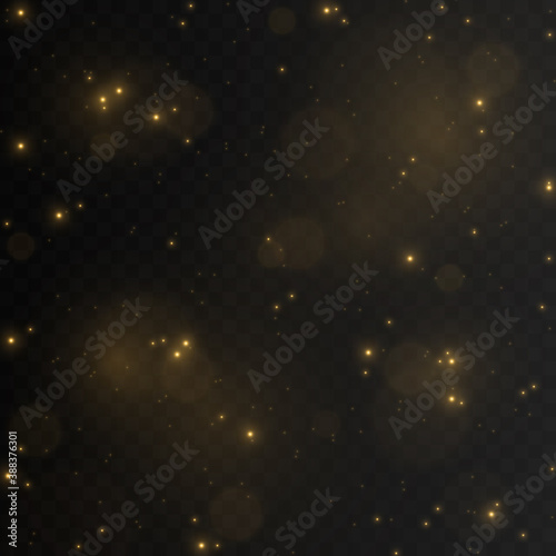 Vector gold dust. Magic glow. Dust png. Light png. Light effect. A flash of sparkles. Christmas dust.