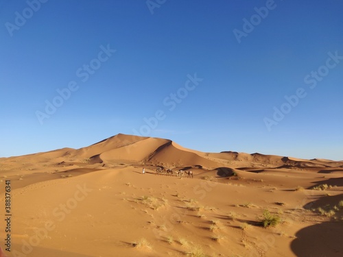 Dünen in der Wüste von Marokko