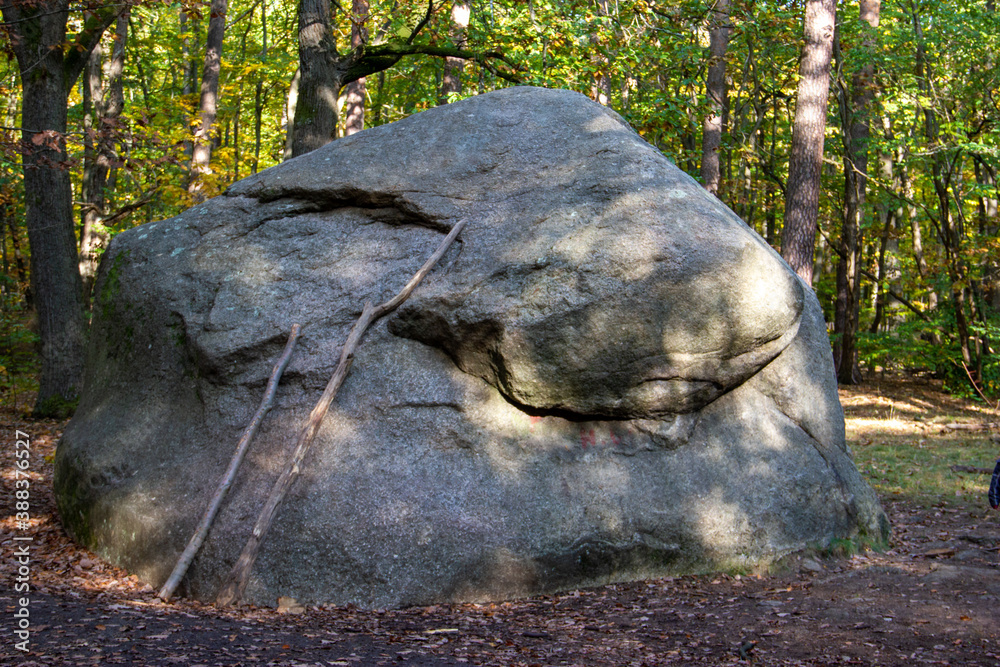 Obraz premium A huge split stone in the forest.