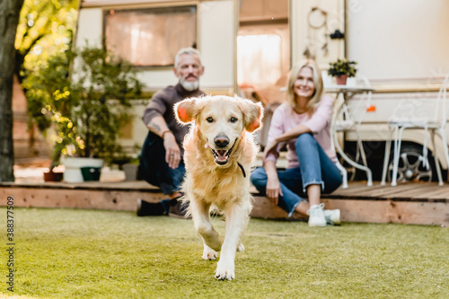 Foto Running dog in the foreground with mature happy couple in the background sitting