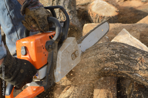 Wallpaper Mural Chainsaw and wood. Preparing firewood for winter Torontodigital.ca