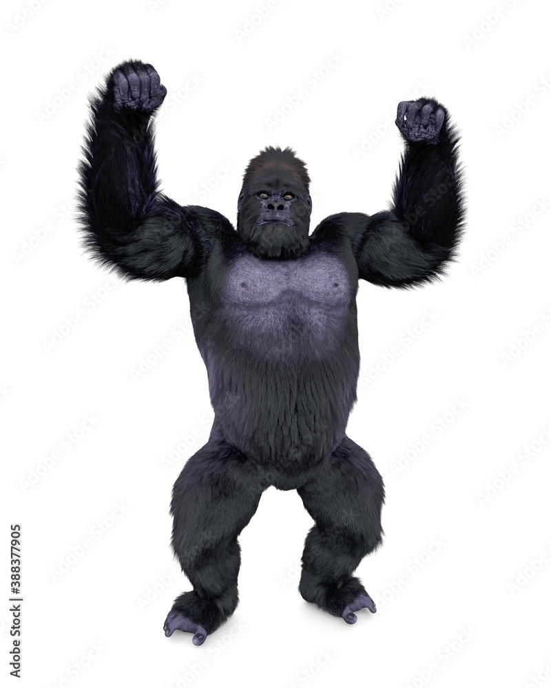 gorilla in dominant pose