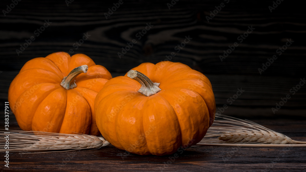 Pumpkins and spikelets on natural wooden background. Happy Thanksgiving day. Autumn still-life.
