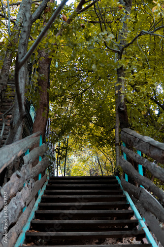 Stairway to heaven. Garden stairs in nature bakcground. Walkway to the garden  upstairs between the trees. 