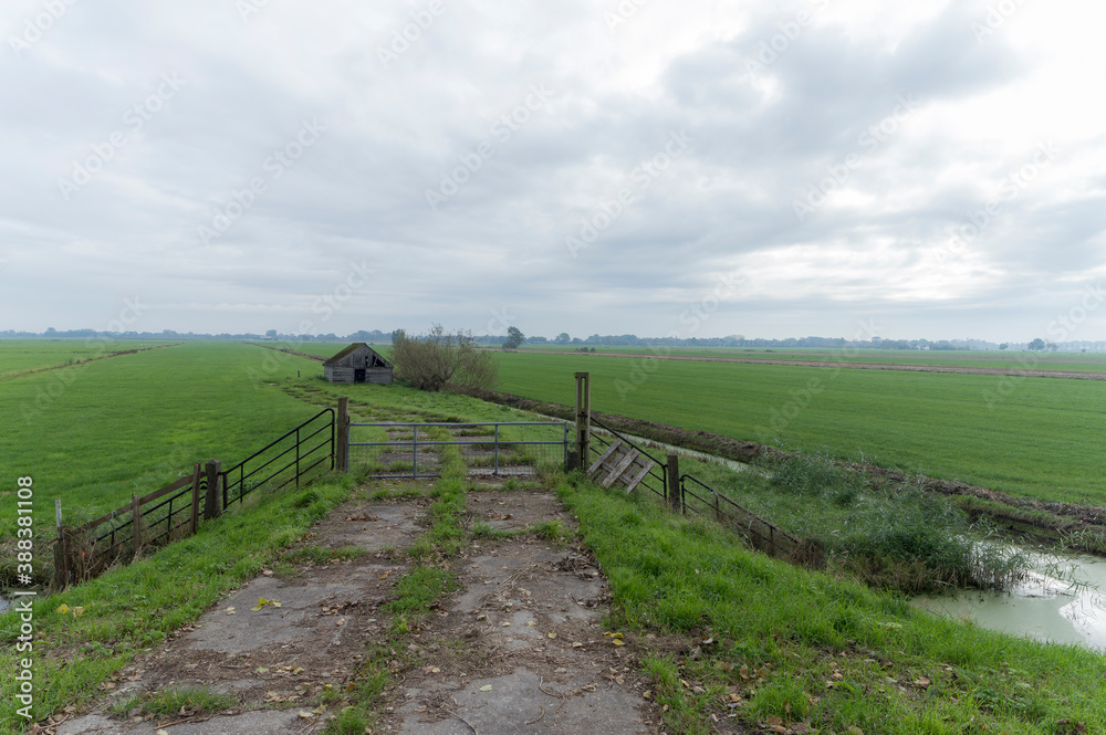 Agricultural fields near Vreeland, the Netherlands