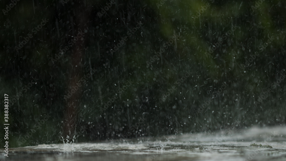 Sharpen on raindrops falling on the pavement Sharpen on raindrops falling on the pavement