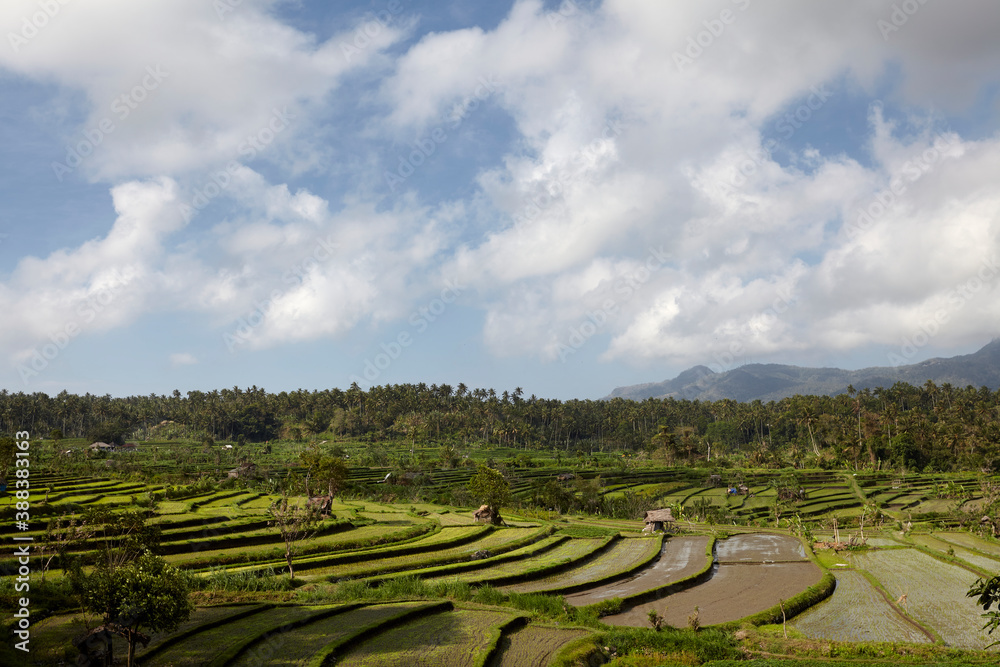 Beautiful landscape with green rice terraces, Bali, Indonesia. Unesco world site