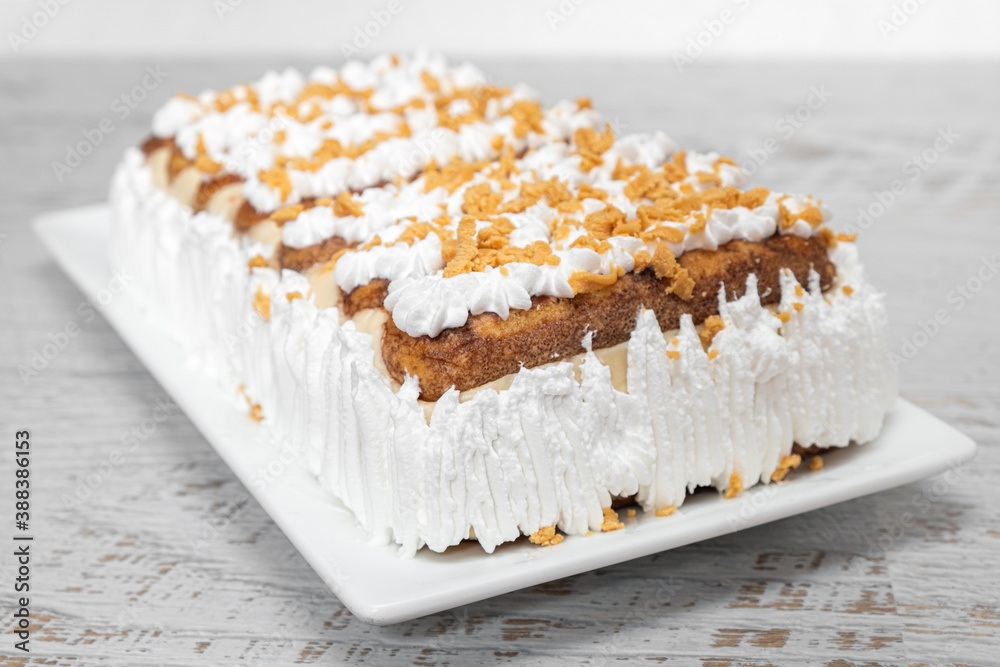 Homemade ladyfinger and vanilla pudding cake