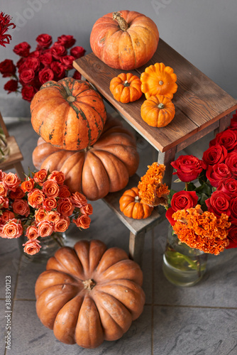 Autumn mood. Set of pumpkins and orange and red flowers for Interior decorations. The work of the florist at a flower shop. Fresh cut flower. photo