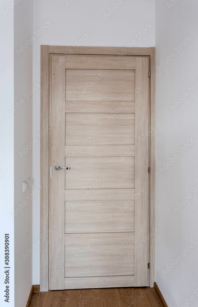 door made of natural wood in a modern style