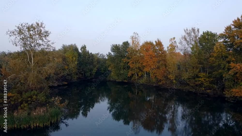 autumn trees reflected in water aerial view autumn trees reflected in water aerial view