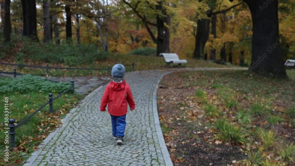 Little boy is walking on alley in a autumn park Little boy is walking on alley in a autumn park