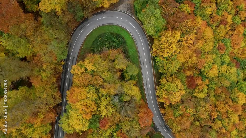 Aerial view of country road through autumnal forest