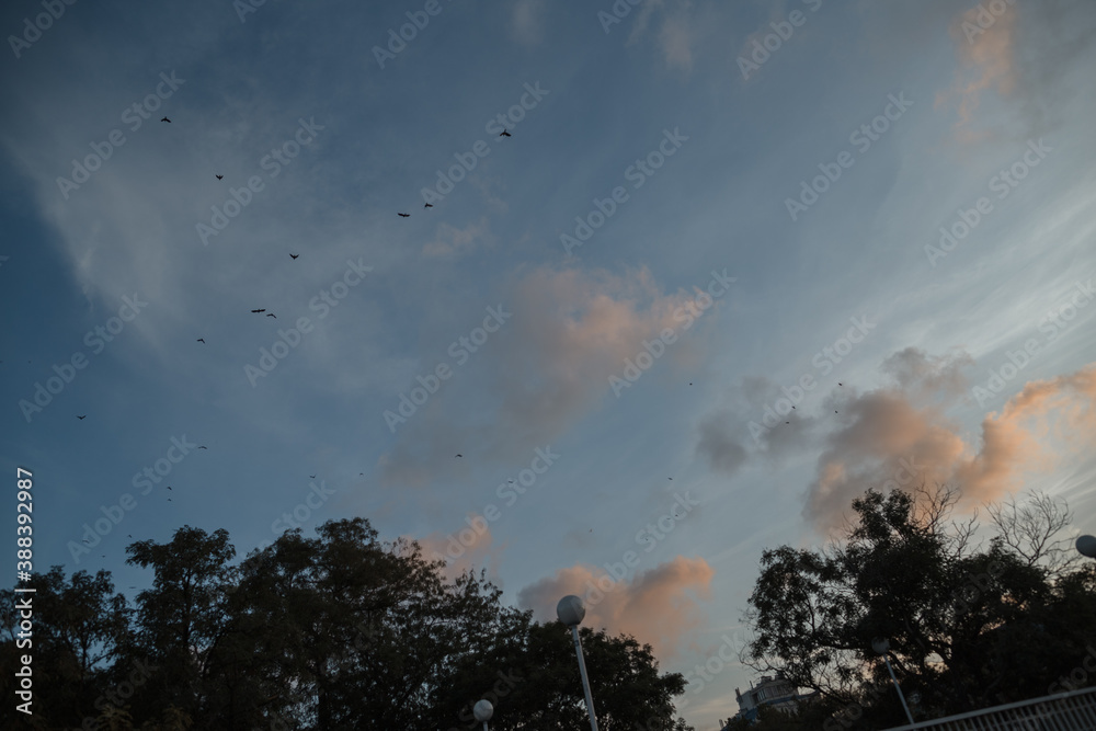 Fototapeta premium time lapse clouds