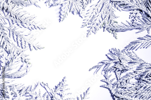 Christmas frame composition with silver thuja branches against white background. Overhead view, flat lay with copy space.