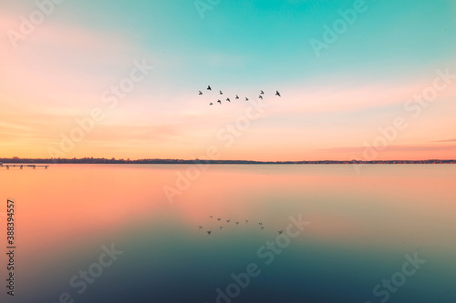 birds are flying over the lake at sunset, reflection in the water