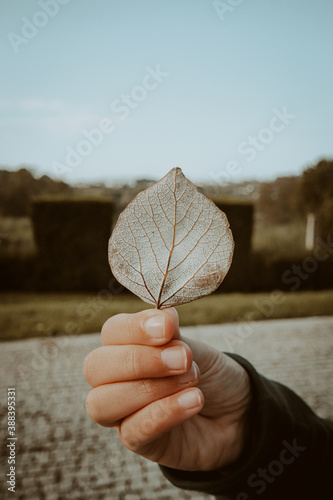 Child with a leaf in his hand. Fall colors