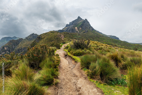 Hiking path to the Rucu Pichincha volcano peak, Quito, Ecuador.