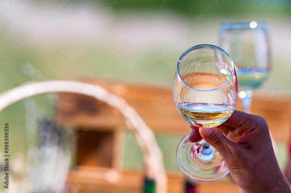 Obraz premium Hand holds two glasses with white wine next to grapes in nature