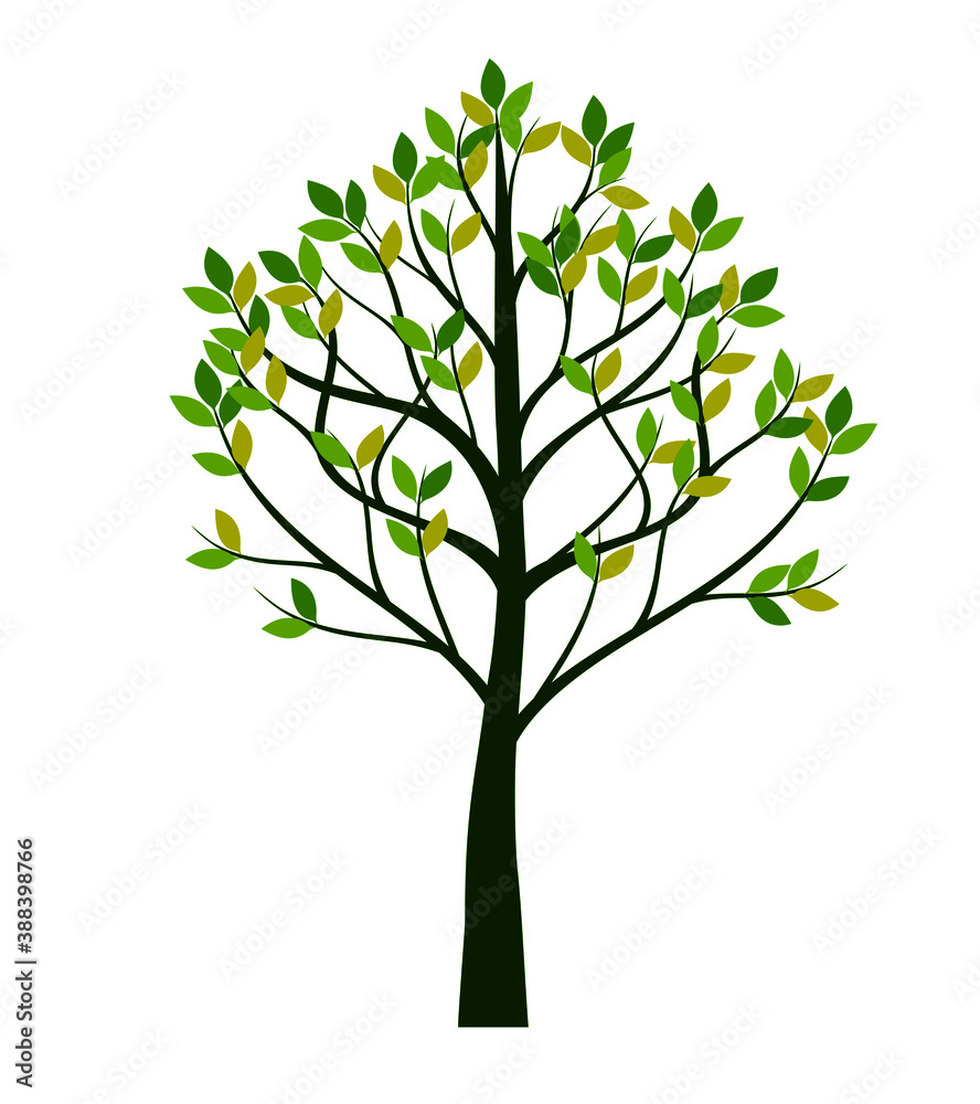 Obraz premium Shape of Tree with leaves. Vector outline Illustration. Plant in Garden.