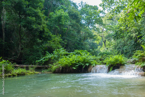 waterfall in jungle