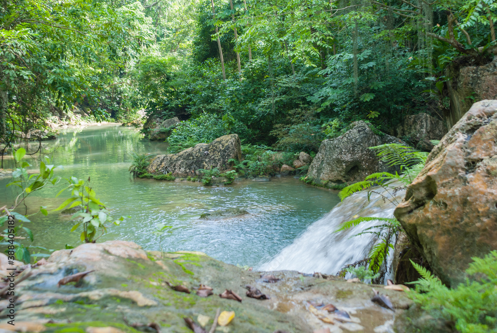 waterfall in the forest