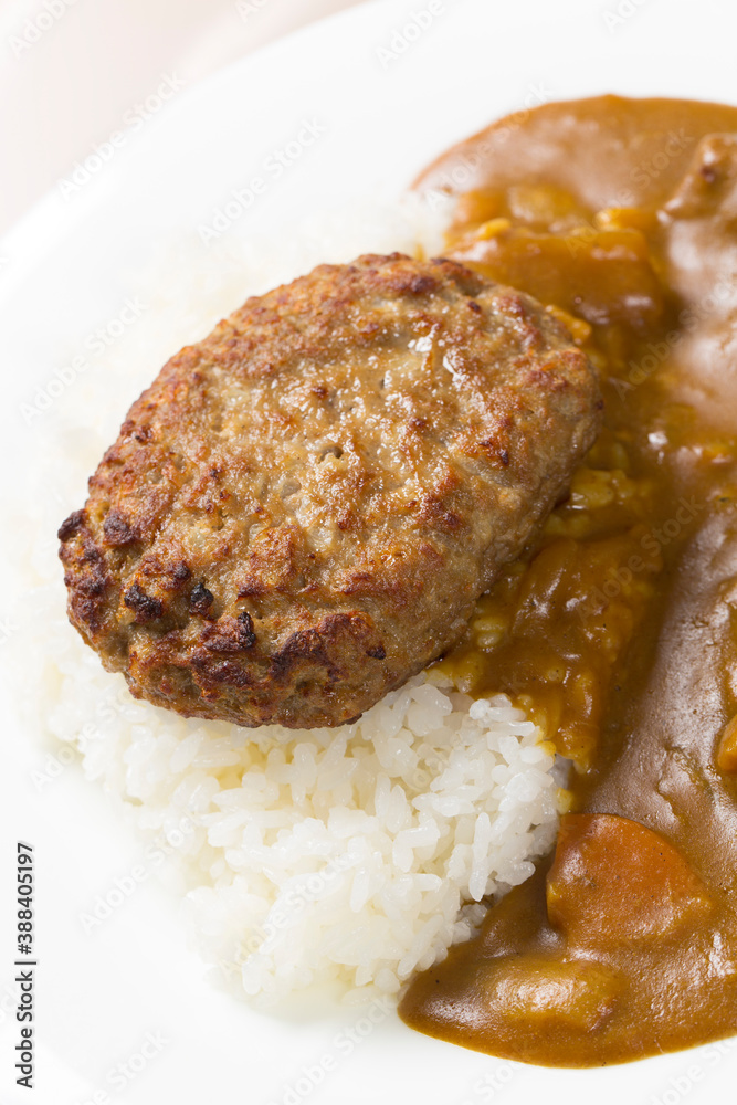 ハンバーグカレー ハンバーグカレー