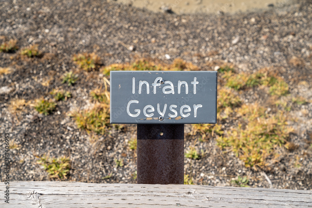 Infant Geyser, a hot spring thermal feature in the Upper Geyser Basin in Yellowstone National Park