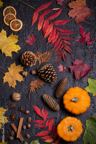 Colorful autumn or Thanksgiving background. Mockup for seasonal concept
