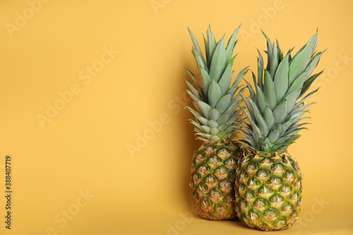 Fresh ripe juicy pineapples on orange background. Space for text