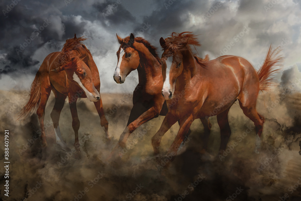 Obraz premium Beautiful horses kicking up dust while running under stormy sky