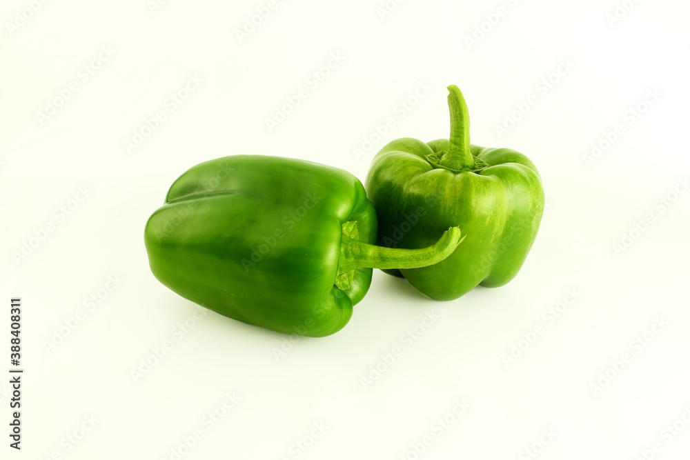 green pepper or bell pepper shoot under soften diffuse light on white background