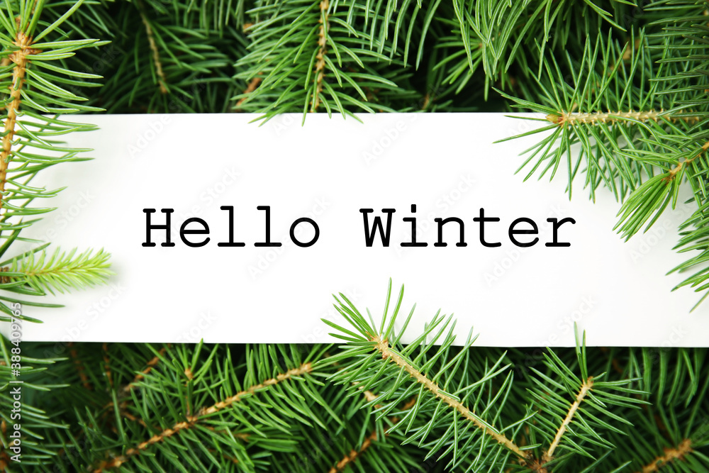 Fototapeta premium Greeting card with text Hello Winter among green fir tree branches, top view