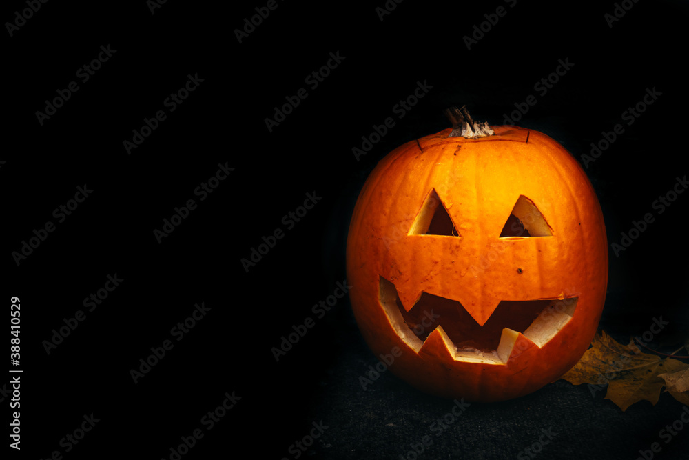 Funny halloween carved pumpkin into face expression, black background with copy space, creative squash carving for ghost night and trick or treat hunt, pumpkin surrounded by yellow autumn leafes Funny halloween carved pumpkin into face expression, black background with copy space, creative squash carving for ghost night and trick or treat hunt, pumpkin surrounded by yellow autumn leafes