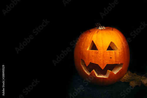 Funny halloween carved pumpkin into face expression, black background with copy space, creative squash carving for ghost night and trick or treat hunt, pumpkin surrounded by yellow autumn leafes