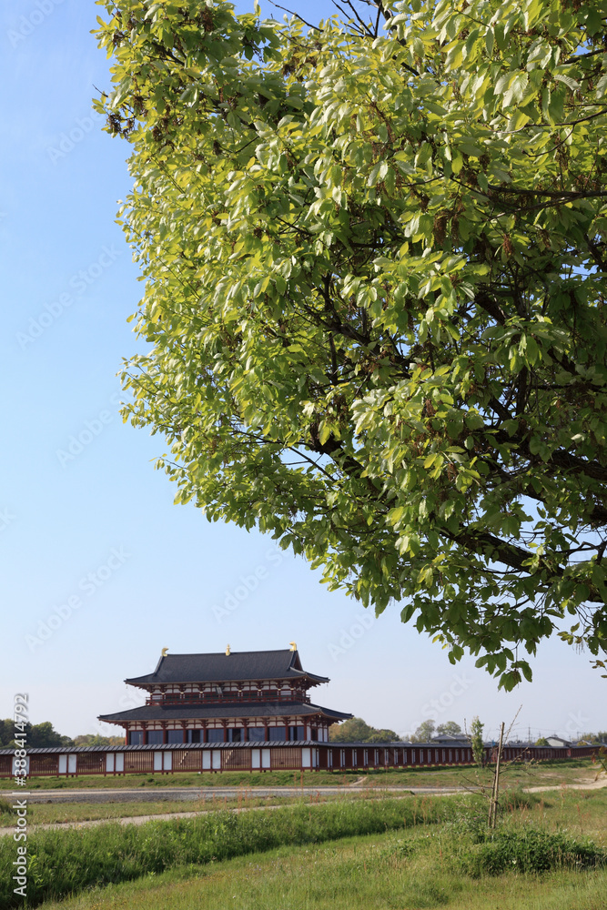 Fototapeta premium 平城京 大極殿