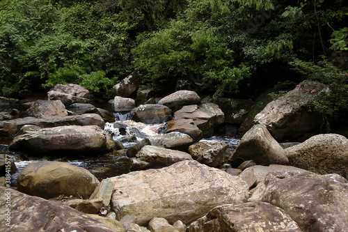 rocks in the forest